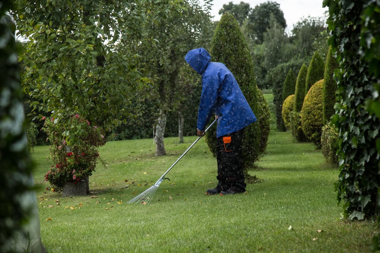 Professional garden and outdoor cleaning