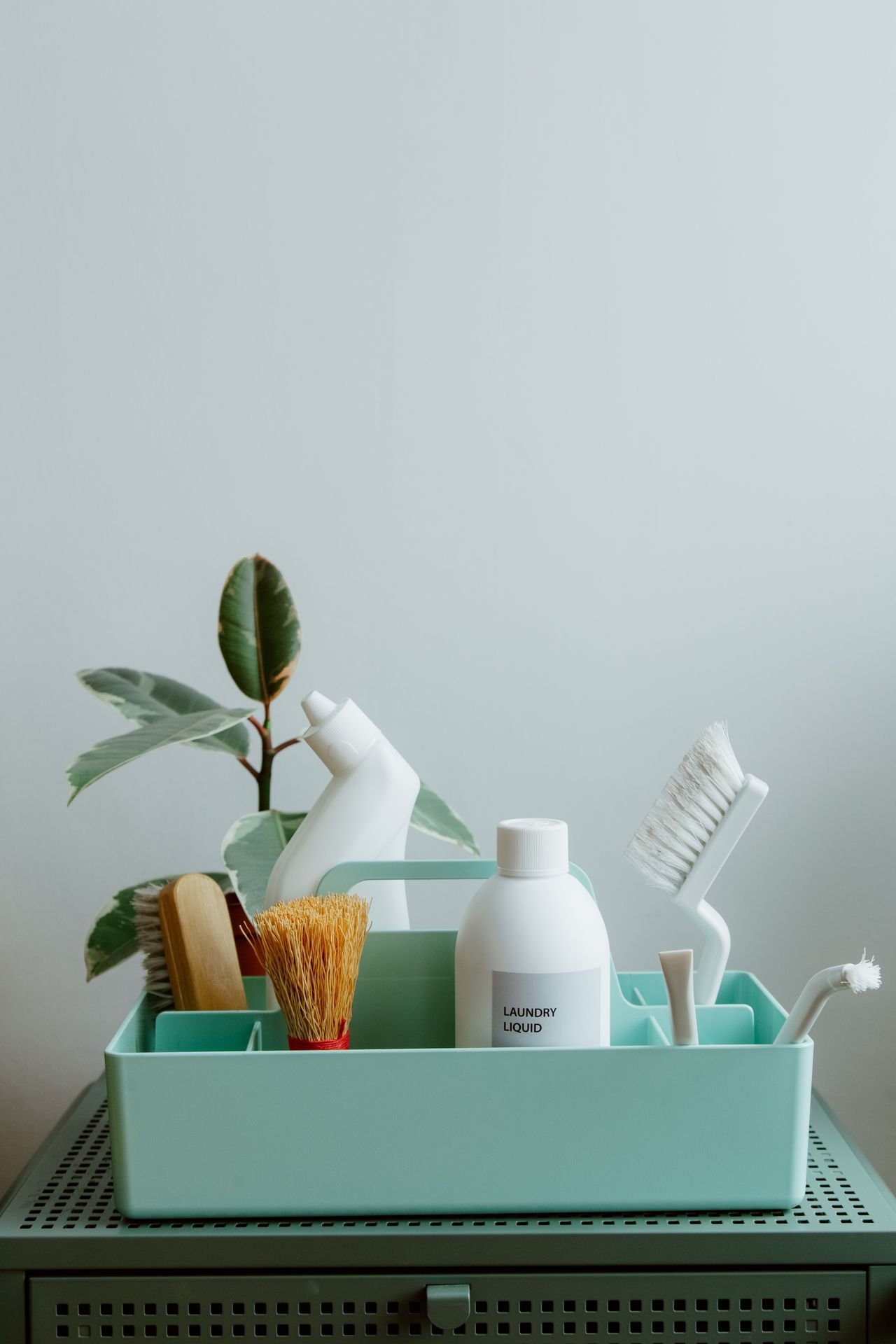 Eco-friendly cleaning products and service